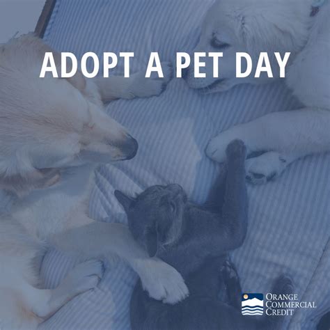 Orange Commercial Credit on LinkedIn: #invoicefactoring #cashflow # ...