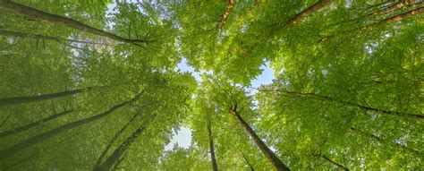 Aurobindo Pharma - Leading Global Pharmaceutical Company