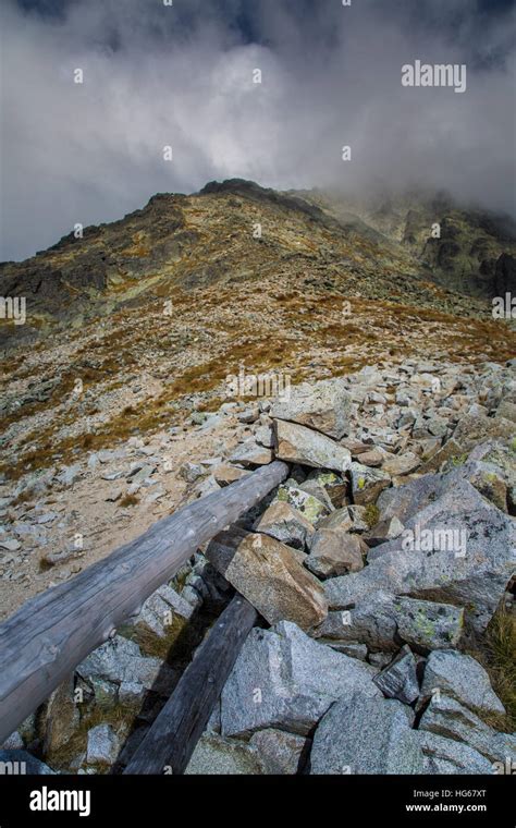 Image result for Timber Line