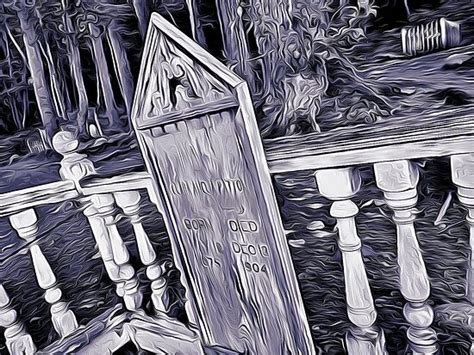 Rainbow Glacier Adventures LLC (Haines) - All You Need to Know BEFORE ...