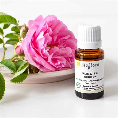 What Essential Oil Goes Well With Rose | CitizenSide