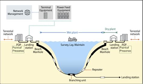 How Undersea Cables Work? Explained: UPSC Current Affairs