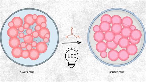 Scientists design precision molecular keys that could unlock new cancer ...