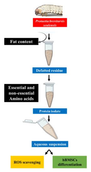 Molecules | December-2 2020 - Browse Articles