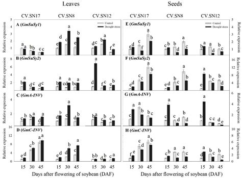 Effect of Drought Stress during Soybean R2–R6 Growth Stages on Sucrose ...