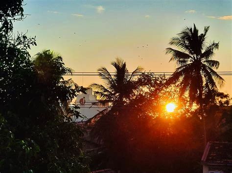 HOTEL DORSET (Negombo) - Hotel Reviews, Photos, Rate Comparison ...