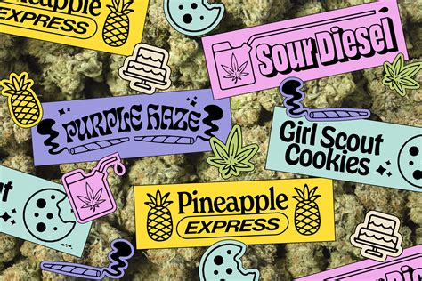 Different Types Of Weed Strains