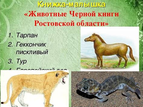 Черная книга животных - что это, какие животные занесены и почему