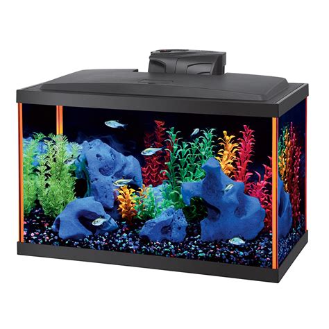 Best Glofish Tanks Reviews: 5, 10, 15, 20 Gallon Aquarium/Tanks