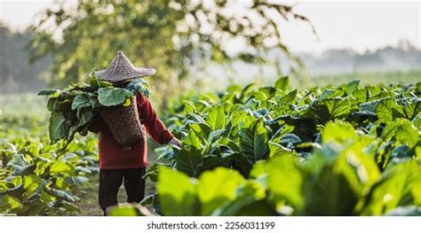 Image result for Data Visualization Basic Principles