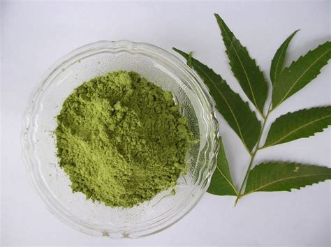 Neem Leaves Powder - Apex International