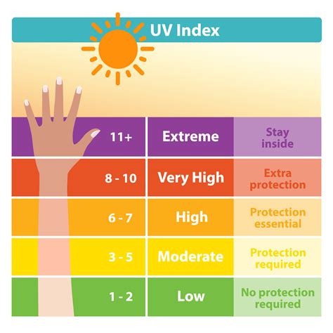 The ultraviolet index chart with tanned skin vector. UV index scale ...