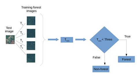 Image result for Non Parametric Model Specification