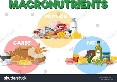 Image result for Macronutrients Basic Structure