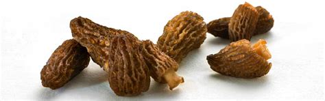 Wiberg Pilze | GOURMET VERSAND Online Shop