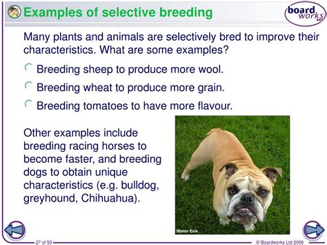 PPT - Passing on characteristics PowerPoint Presentation, free download ...