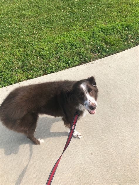 Peruque Valley Park, 1335 S Point Prairie Rd, Wentzville, MO, Parks ...