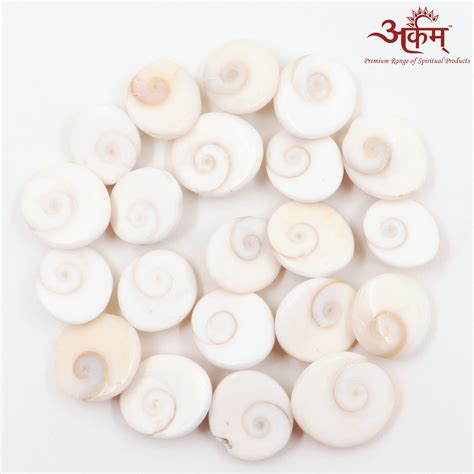 Arkam - Premium range of spiritual products|Arkam Gomti Chakra / Gomati ...