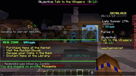 Image result for Hypixel Skyblock Guide