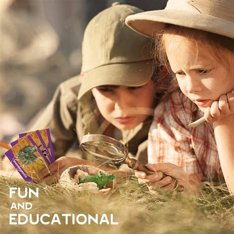 HOOME Dino Egg Dig Kit Dinosaur Eggs Dig Kits 12 Dinosaur Excavation ...