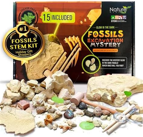 Buy Nature Gear 15 Mystery Fossils + Bonus Glow-in-The-Dark ...