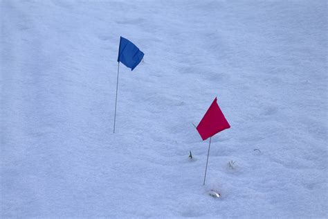 Red and Blue Flags by APlusDesign