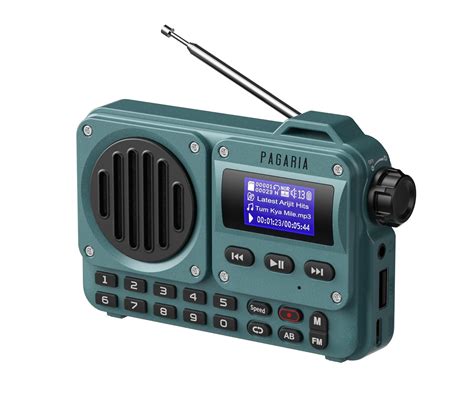Pagaria Grenade 5 Watts Pocket FM Radio with Bluetooth, Tf Card/USB ...