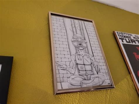 Image result for TMNT Boxed Collection