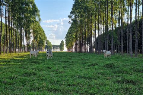 Image result for JavaScript Sample Code