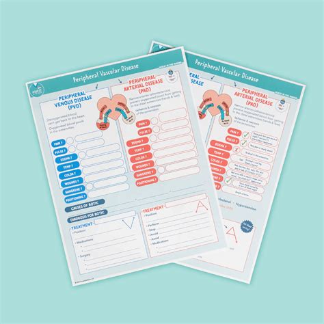 PAD vs. PVD Worksheet – NurseInTheMaking