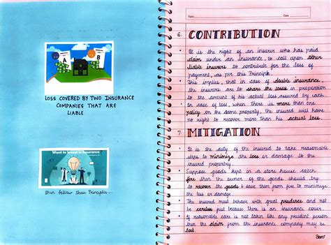 Image result for Project On Insurance Class 11