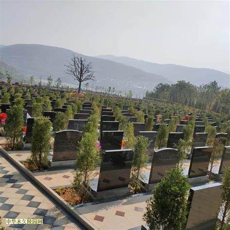 北京墓地到期续费政策,想要去九宫山长城纪念林购买墓地怎么去？-官厅中华网