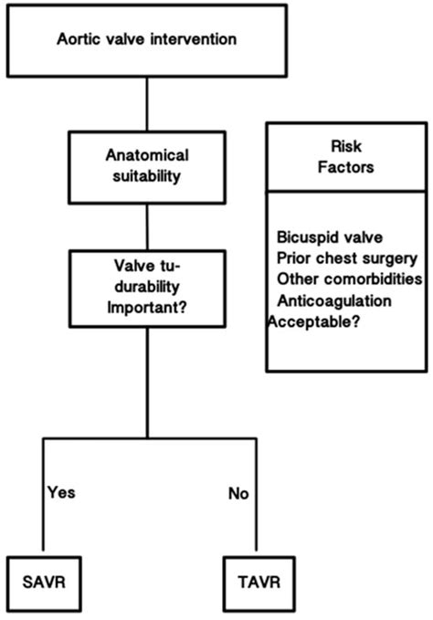 Aortic Stenosis: Diagnosis, Molecular Mechanisms and Therapeutic ...