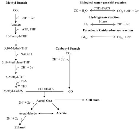 Fermentation | Special Issue : Biofuels and Biochemicals Production