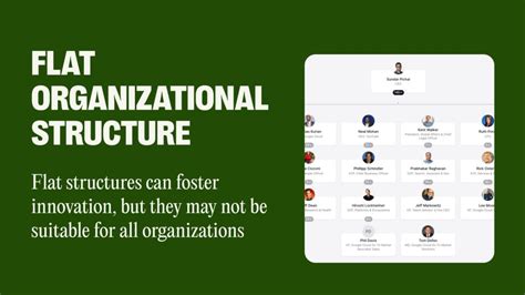 Image result for Flat Organization Challenges