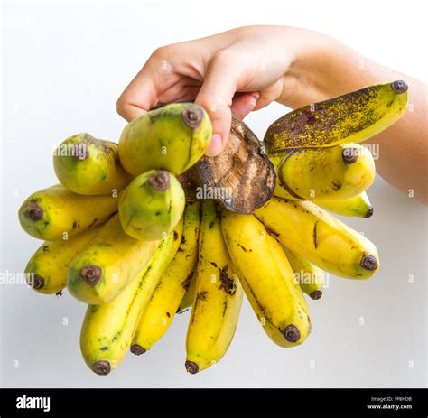 Big mike banana hi-res stock photography and images - Alamy