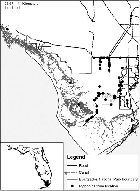 Image result for Burmese Python Map
