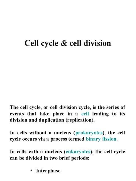 Cell Cycle & Division | PDF | Cell Biology | Mitosis