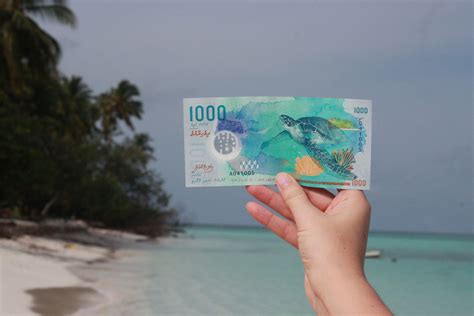 Beautiful Maldivian currency on Fulidhoo Beach. | Maldives, Maldivian ...
