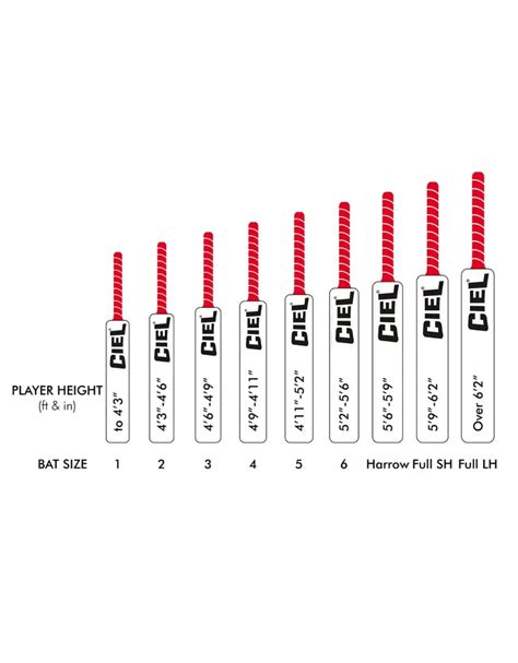 LEGEND EDITION GRADE 2 KASHMIR WILLOW BAT – Ciel Sports