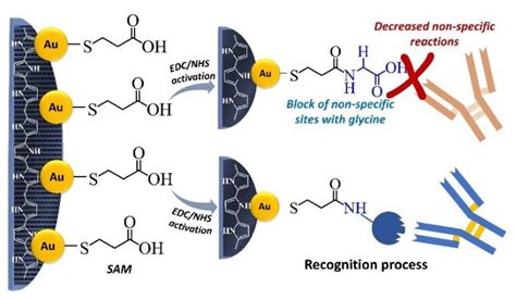 Development of Folate-Group Impedimetric Biosensor Based on Polypyrrole ...