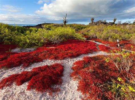 Floreana Island Galapagos