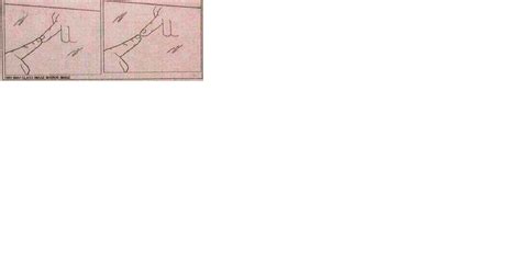 Image result for Magic Mirror Test