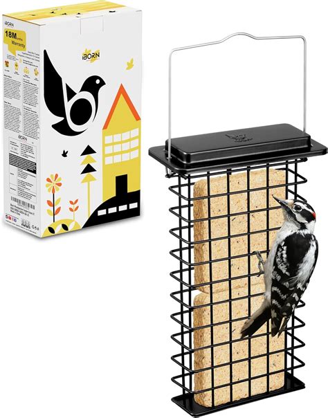 Amazon.com: iBorn Metal Double Suet Feeder,Durable Suet Cake Cage Bird ...
