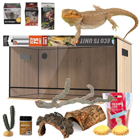 Bearded Dragon Full Setup | Dragon's Den