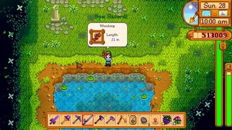 How to get Woodskip in Stardew Valley