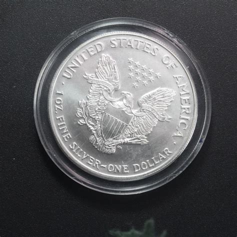 Colorized 1999 Silver Eagle Dollar Coin | Property Room