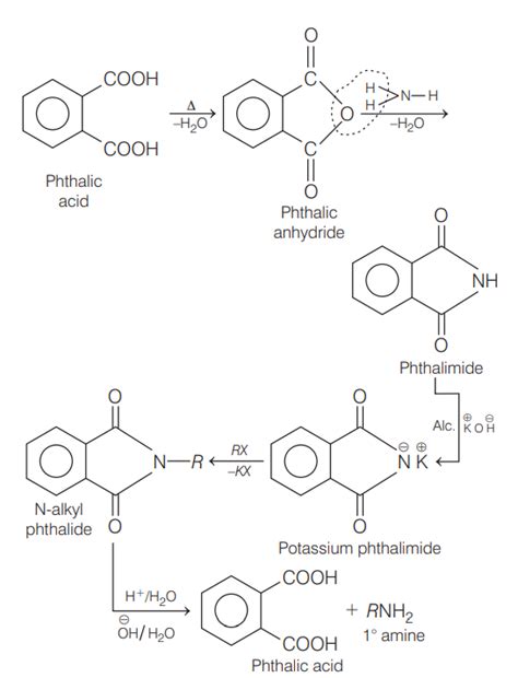 Find the suitable method from the following to prepare primary amines ...