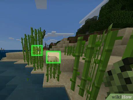 Sugar Cane Farm Minecraft Java 的图像结果