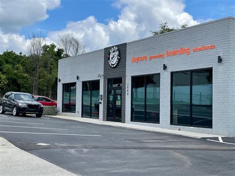 El Cajon Camp Run A Mutt at Lupe Hyatt blog